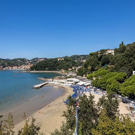 Mare *